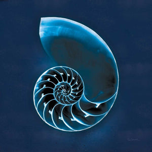 5531362_C1 'Cyanotype Sea II' by artist Sue Schlabach - Wall Art Print on Textured Fine Art Canvas or Paper - Digital Giclee reproduction of art painting. Red Sky Art is India's Online Art Gallery for Home Decor - 553_32595