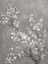 5531242_C1 'White Cherry Blossoms II on Grey' by artist Danhui Nai - Wall Art Print on Textured Fine Art Canvas or Paper - Digital Giclee reproduction of art painting. Red Sky Art is India's Online Art Gallery for Home Decor - 553_92702