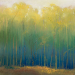 8170041_C1 'Deep Woods in Summer' by artist Teri Jonas - Wall Art Print on Textured Fine Art Canvas or Paper - Digital Giclee reproduction of art painting. Red Sky Art is India's Online Art Gallery for Home Decor - 817_77059