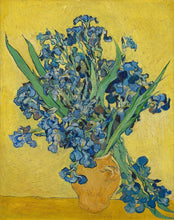 Irises
