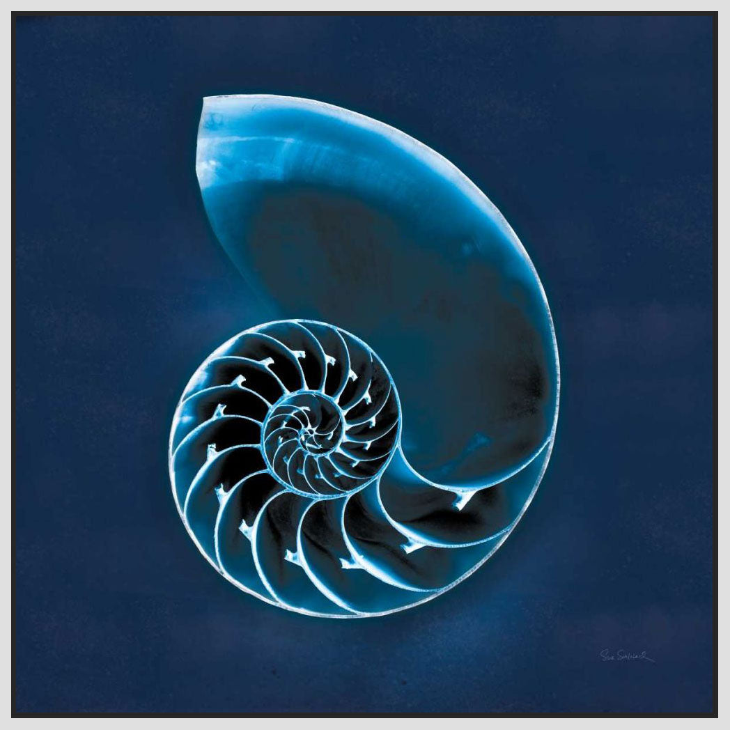 5531362_FW1 'Cyanotype Sea II' by artist Sue Schlabach - Wall Art Print on Textured Fine Art Canvas or Paper - Digital Giclee reproduction of art painting. Red Sky Art is India's Online Art Gallery for Home Decor - 553_32595