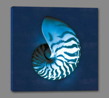 5531361_GS1 'Cyanotype Sea I' by artist Sue Schlabach - Wall Art Print on Textured Fine Art Canvas or Paper - Digital Giclee reproduction of art painting. Red Sky Art is India's Online Art Gallery for Home Decor - 553_32594