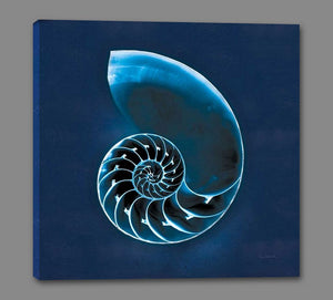 5531362_GS1 'Cyanotype Sea II' by artist Sue Schlabach - Wall Art Print on Textured Fine Art Canvas or Paper - Digital Giclee reproduction of art painting. Red Sky Art is India's Online Art Gallery for Home Decor - 553_32595