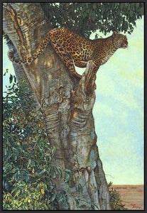60084_FB3_- titled 'On the Lookout' by artist Kalon Baughan - Wall Art Print on Textured Fine Art Canvas or Paper - Digital Giclee reproduction of art painting. Red Sky Art is India's Online Art Gallery for Home Decor - B1738