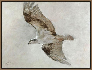 60156_FN1_- titled 'Searching Osprey' by artist Todd Telander - Wall Art Print on Textured Fine Art Canvas or Paper - Digital Giclee reproduction of art painting. Red Sky Art is India's Online Art Gallery for Home Decor - T1661