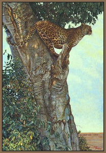 60084_FN2_- titled 'On the Lookout' by artist Kalon Baughan - Wall Art Print on Textured Fine Art Canvas or Paper - Digital Giclee reproduction of art painting. Red Sky Art is India's Online Art Gallery for Home Decor - B1738