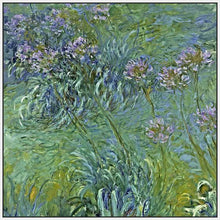 60164_FW2_- titled 'Jewelry Lilies ' by artist  Claude Monet - Wall Art Print on Textured Fine Art Canvas or Paper - Digital Giclee reproduction of art painting. Red Sky Art is India's Online Art Gallery for Home Decor - M2061