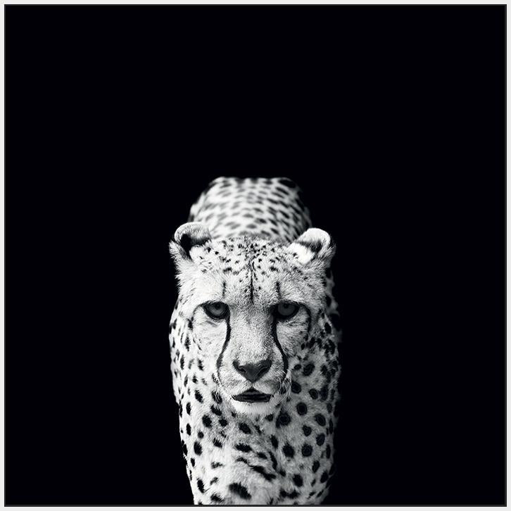 45002_FW3 - titled 'Acinonyx Jubatus' by artist Nicolas Evariste - Wall Art Print on Textured Fine Art Canvas or Paper - Digital Giclee reproduction of art painting. Red Sky Art is India's Online Art Gallery for Home Decor - 55_WDC98070
