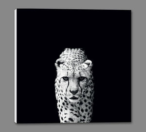 45002_GS1_ - titled 'Acinonyx Jubatus' by artist Nicolas Evariste - Wall Art Print on Textured Fine Art Canvas or Paper - Digital Giclee reproduction of art painting. Red Sky Art is India's Online Art Gallery for Home Decor - 55_WDC98070